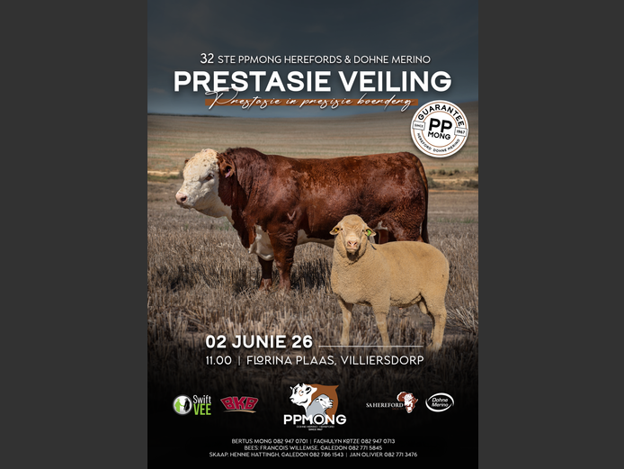 PP MONG HEREFORDS & DOHNE MERINO 32STE PRESTASIE VEILING