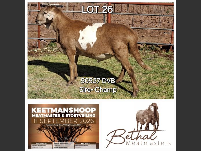 50527DVB | Bethal Meatmasters
