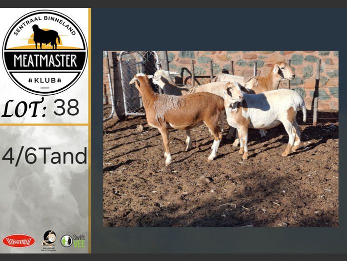 Ooie | Hennie Koekemoer Meatmasters