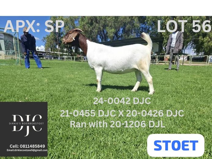 24-0042 DJC |  DIRKIE COETZEE