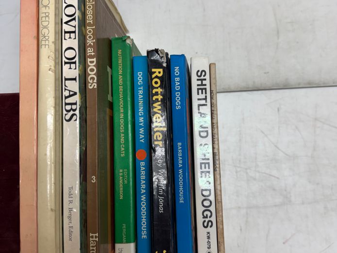 Set of Dog Books (2) 