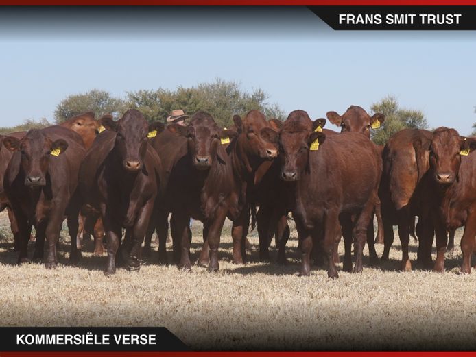 Commercial Animals | Frans Smit Trust