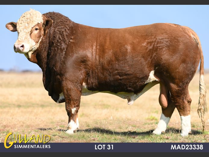 MAD23338 | MG DE JAGER