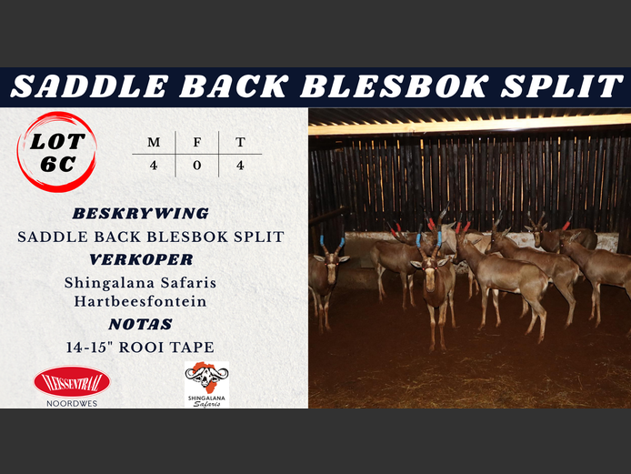 SADDLE BACK BLESBOK SPLIT