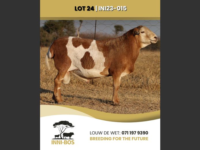 INI 23-015 | INI-BOS BOSVELDER