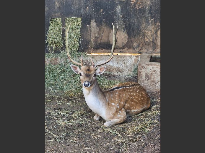 TAKBOK | BIRKEN VERVOER