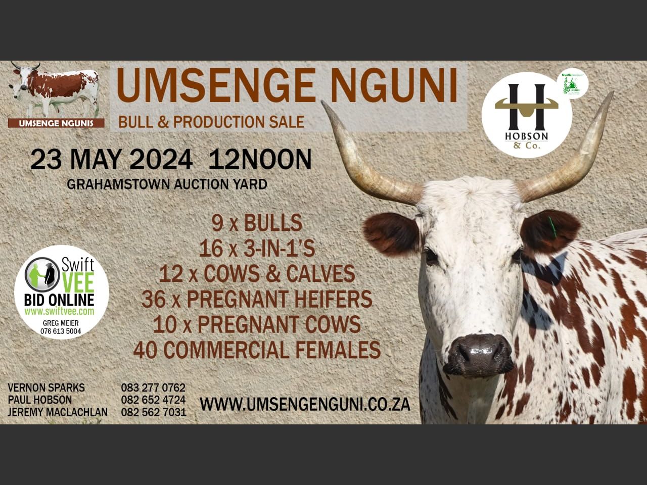 UMSENGE NGUNI'S 24TH BULL & PRODUCTION SALE | SwiftVEE | South Africa’s ...