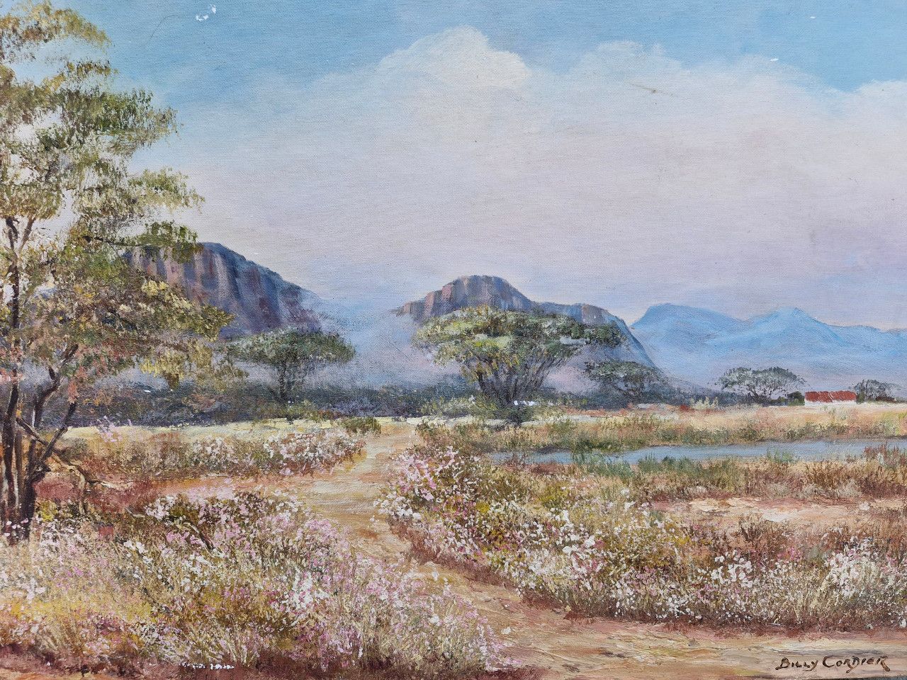 images