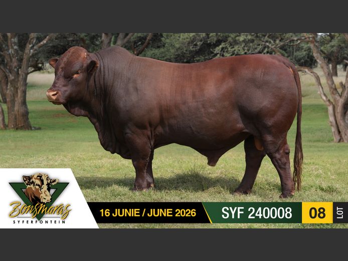 SYF240008 | SYFERFONTEIN BOERDERY