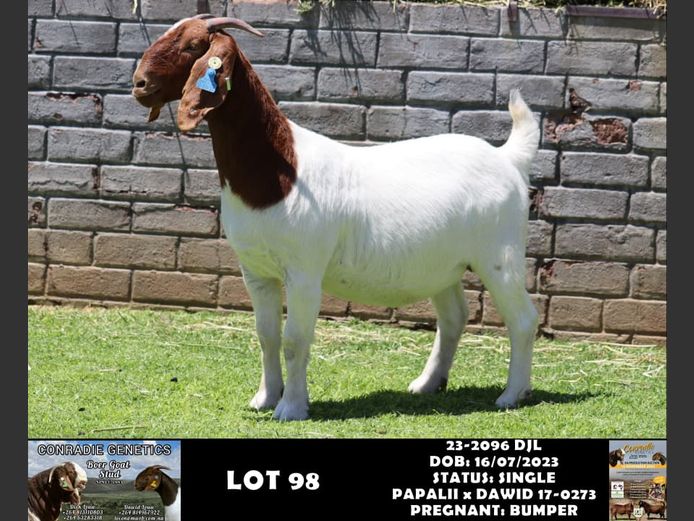 23-2096 DJL | DIRK LOUW