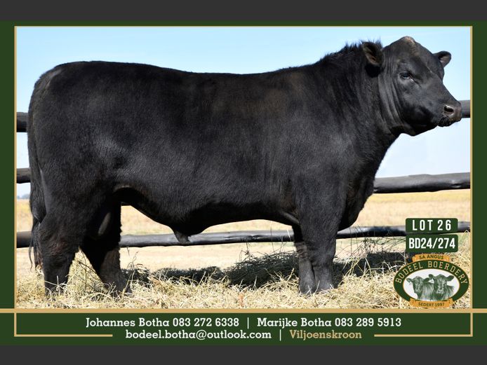 BD240274 | BODEEL BOERDERY