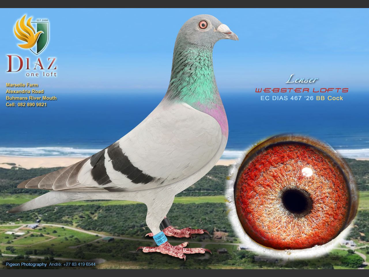 images
