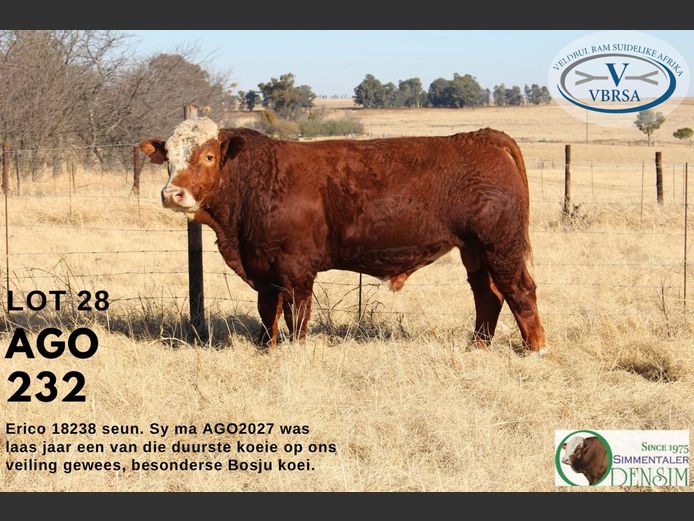 AGO232 | AG ODENDAAL