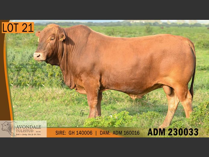 ADM 230033 | A.D. MULLINS