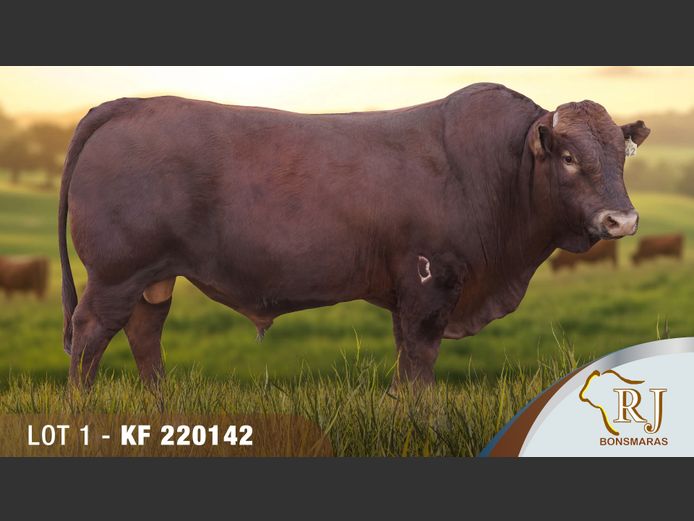 KF220142 | RJ BONSMARAS
