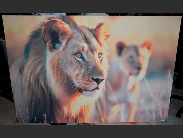 UNFRAMED PHOTOGRAPHIC PRINT ON CANVAS "LION", 179 x 120cm