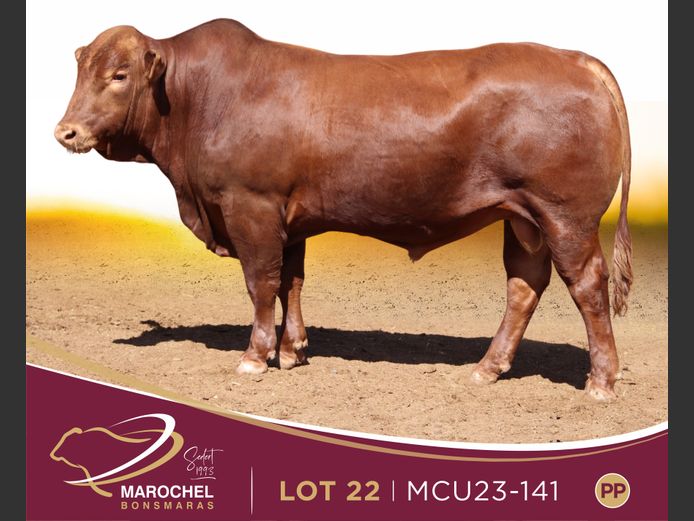 MCU 230141
