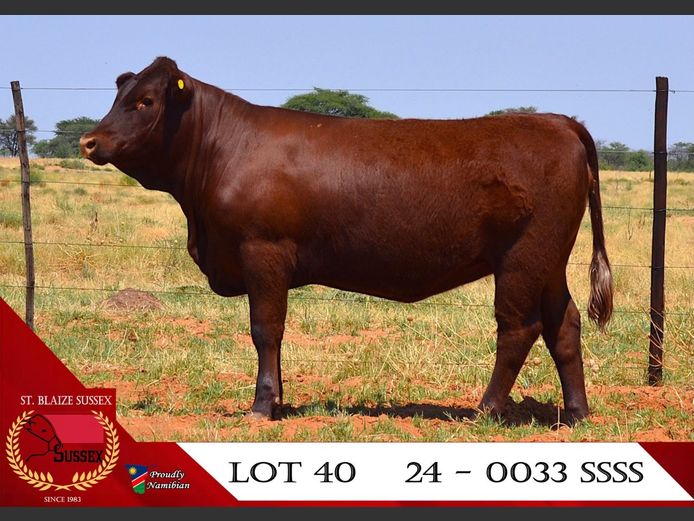 24-0033SSS | ST. BLAIZE SUSSEX