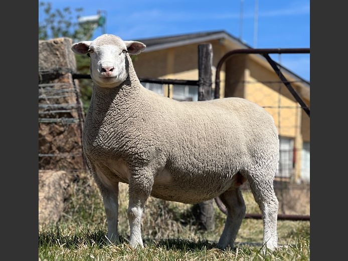 JB 230078 | J.A. BARNARD