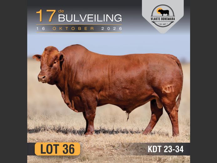 KDT230034 | J.P.F. DU TOIT