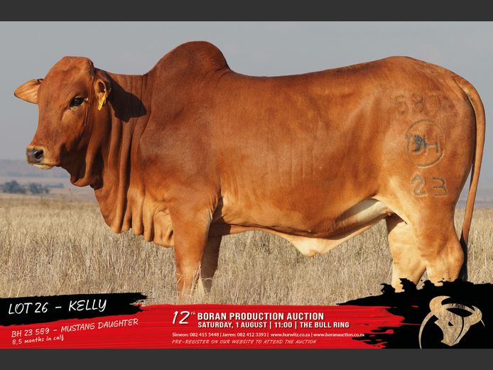 BH 230589 | HURWITZ FARMING