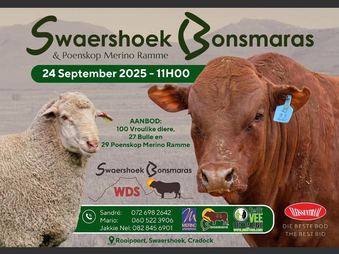 SWAERSHOEK BONSMARA &  POENSKOP MERINO VEILING