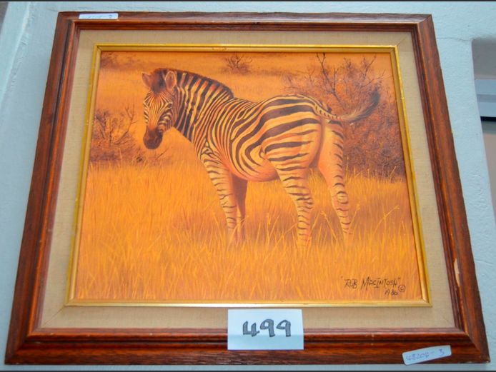 FRAMED OIL ON BOARD "ZEBRA" SIGNED ROB MACINTOSH 1986, 33.5 x 28.5cm