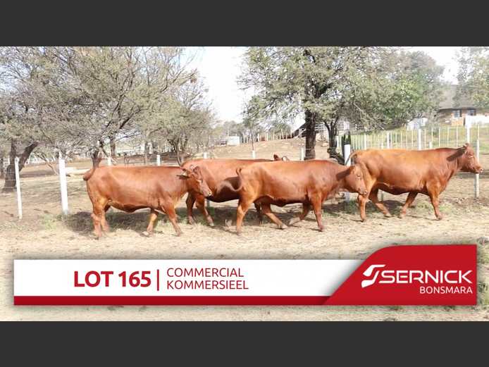 Commercial Animals