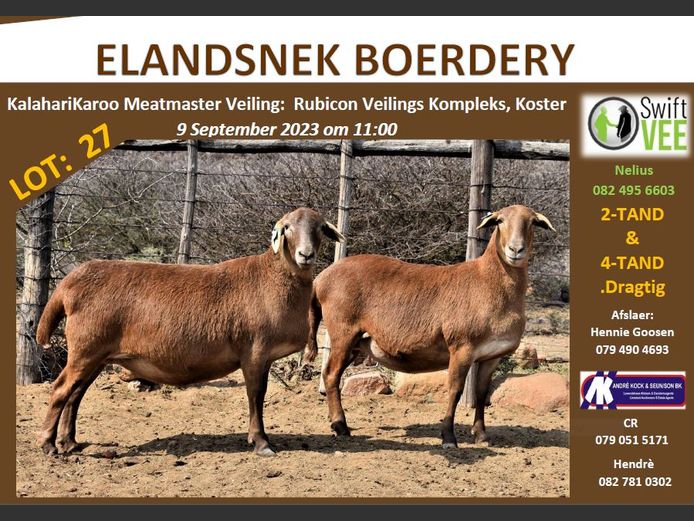 RSL 27A | ELANDSNEK BOERDERY