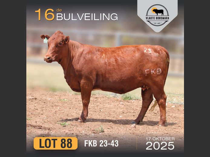 FKB 230043 | FRITS KROON BOERDERY