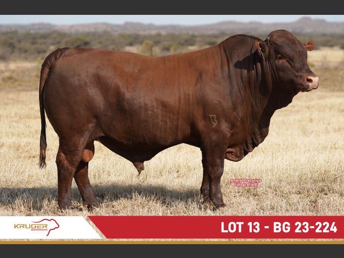 BG230224 | KRUGER BOERDERY