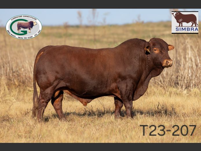 T23207 | GK TAYLOR