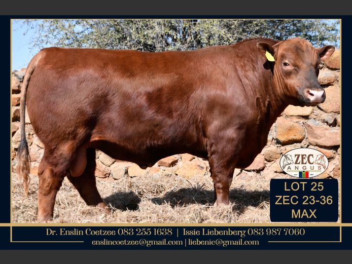 ZEC 230036 | Z.E. COETZEE
