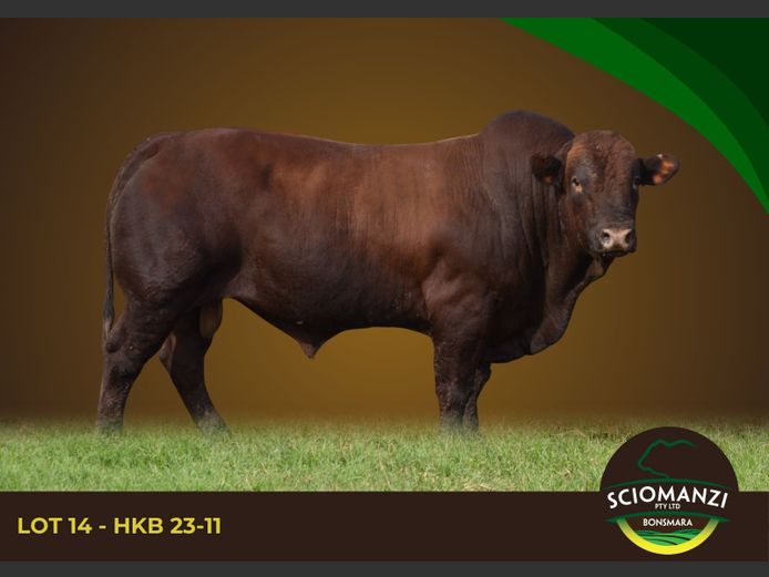 HKB 230011 | SCIOMANZI (PTY) LTD