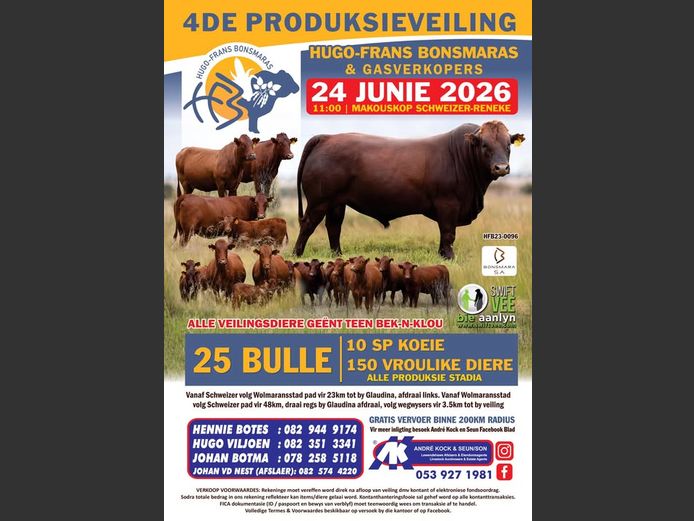 HUGO FRANS BONSMARA & GASVERKOPERS 4DE PRODUKSIEVEILING