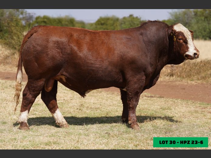 HPZ236 | JP DU PREEZ BK