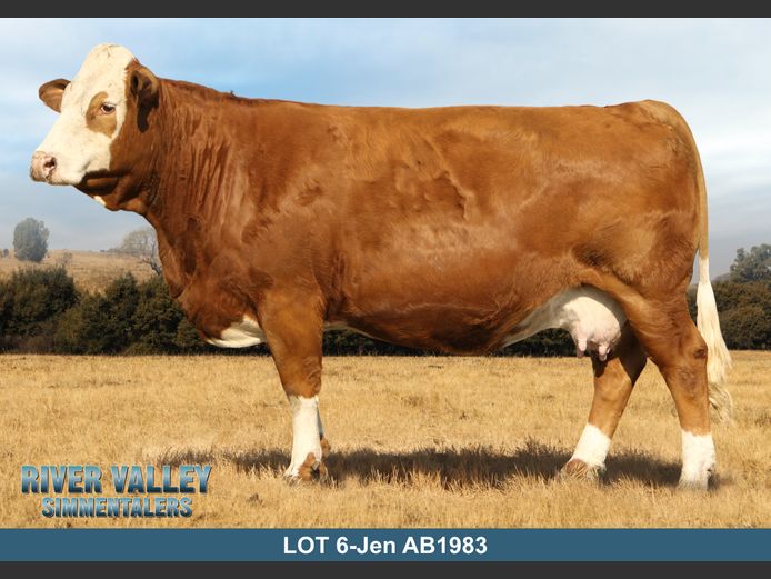 AB1983 | PA ABRAHAMSE