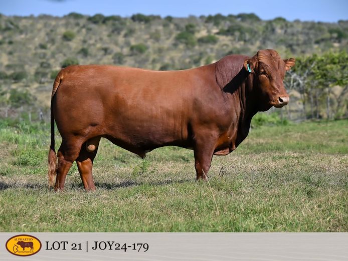 JOY240179 | FETTING LIVESTOCK TRUST