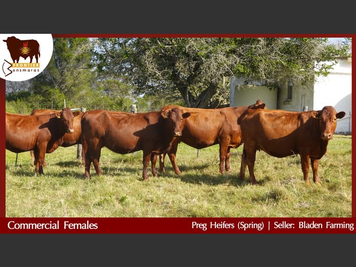 Commercial Animals | Bladen Farming