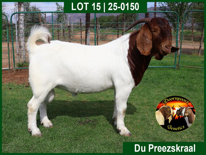 25-0150 | Du Preezskraal