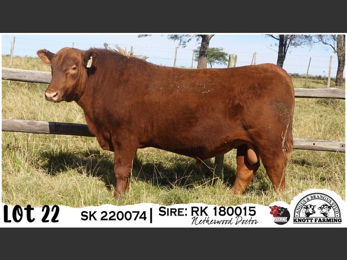 SK 220074