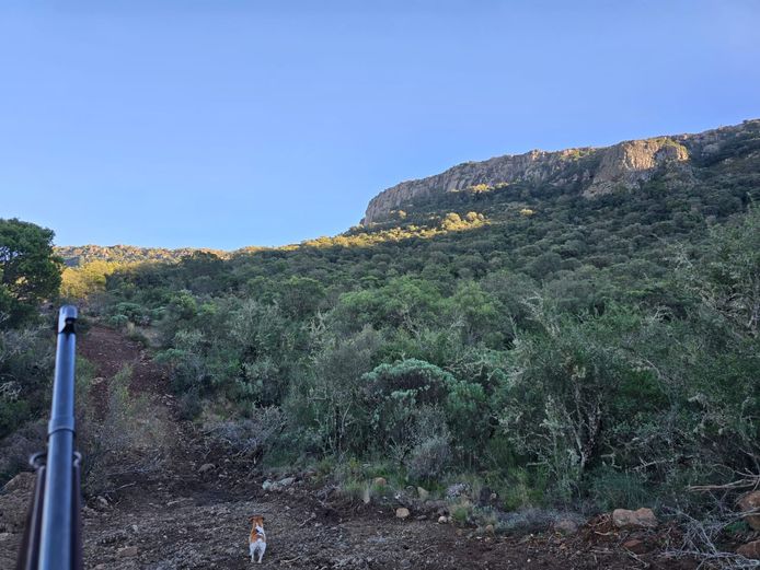 Biltong hunt for 1 kudu. 2026 Hunting Season | Kleinfontein Farm