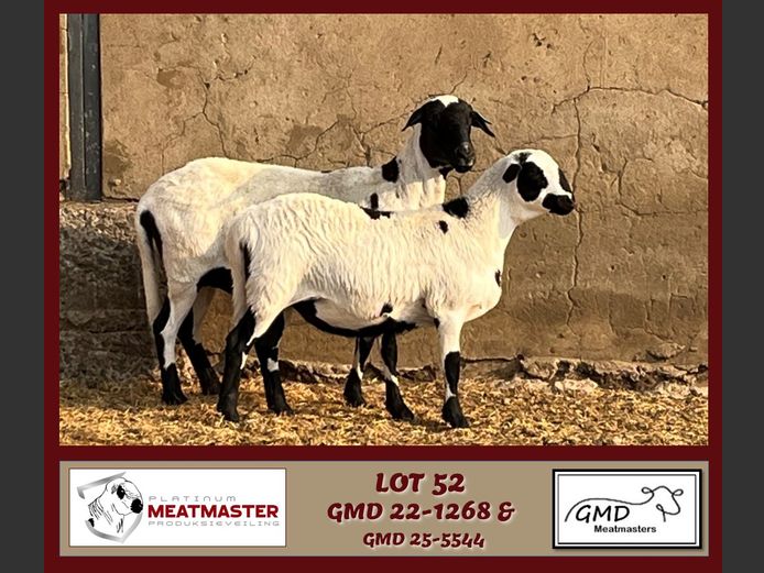 GMD 22-1268 | Mike Greyling - GMD Meatmasters, Morgenzon