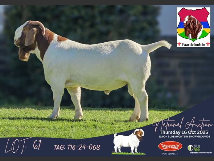 116-24-068 | SW Malan (Paardefontein)