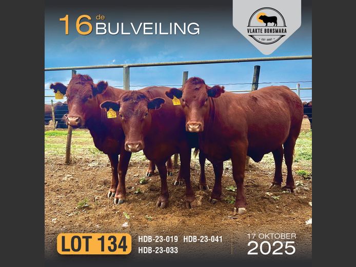 Commercial Animals | HARCOR BOERDERY