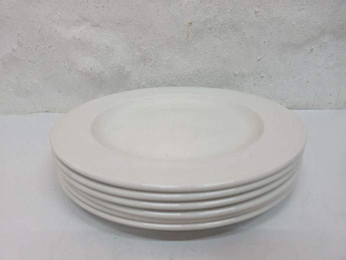 Set of 6 White Ceramic Wide Rim Dinner Plates