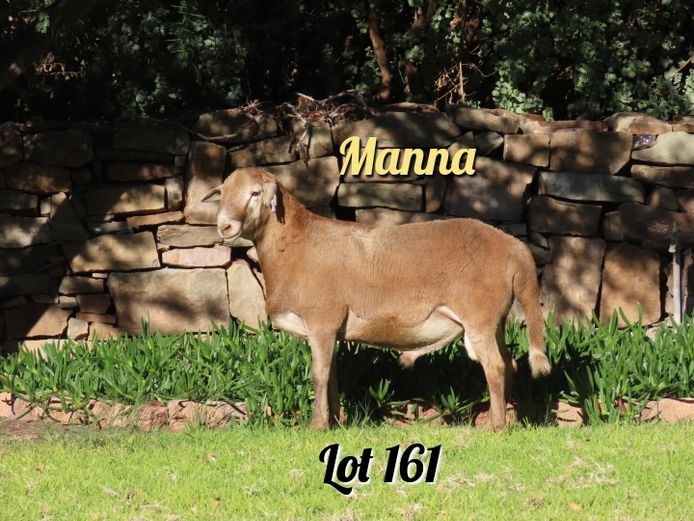 087 | Manna
