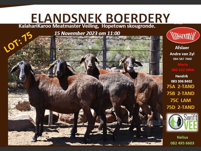 RSL 75 B | ELANDSNEK BOERDERY