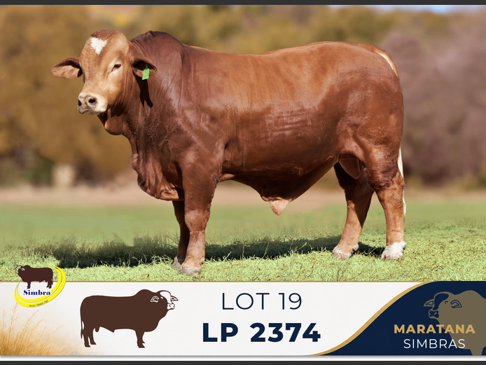 LP2374 | MARATANA BOERDERY (PTY) LTD