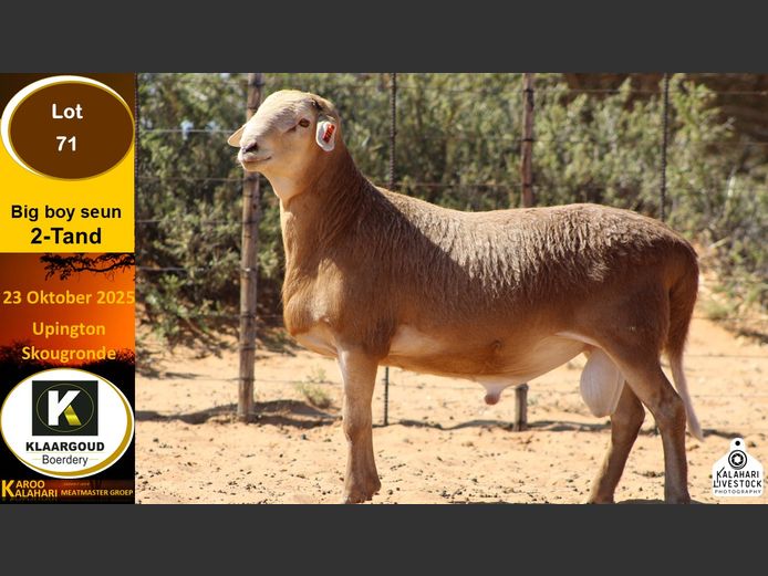 CP 71 | Chris Potgieter & Christia Scholtz - Klaargoud Boerdery